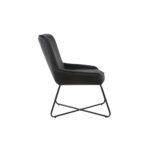 Lounge Chair S-1249