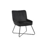 Lounge Chair S-1249